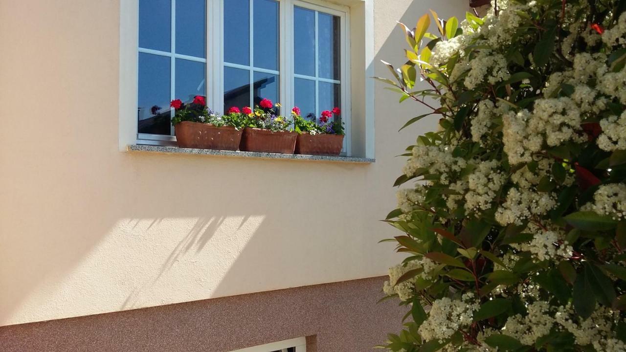 Apartments Place4You Bjelovar Esterno foto